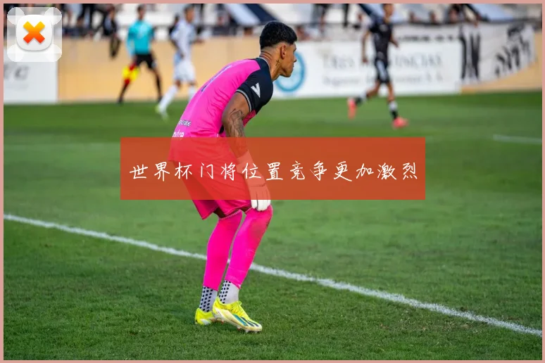 世界杯门将位置竞争更加激烈